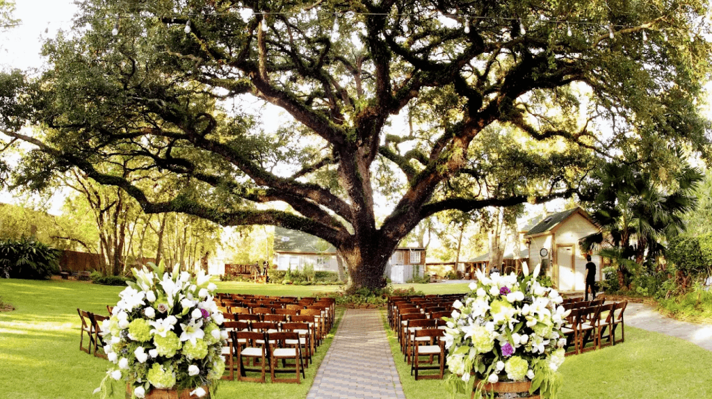 Oak Tree Manor – Spring